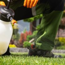 Lawn-fertilization-and-weed-control-in-Gap-PA-1-1024x576